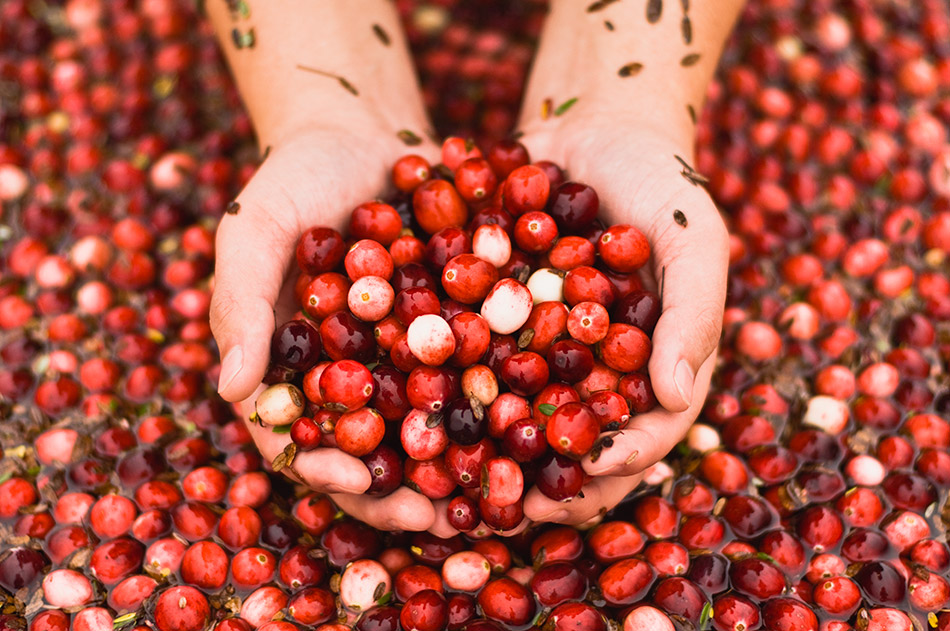 Cranberries
